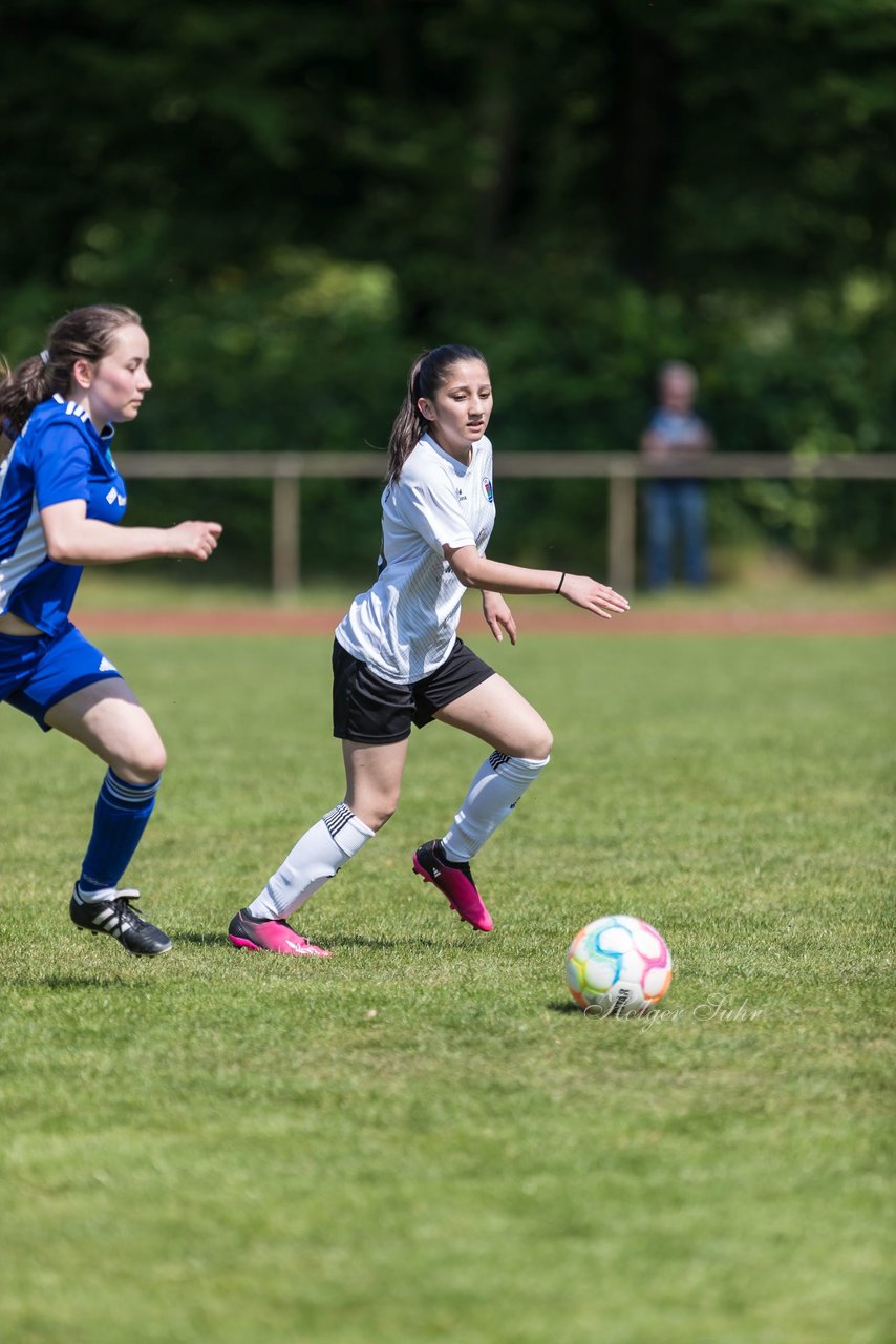 Bild 250 - wBJ VfL Pinneberg - Harksheide : Ergebnis: 2:1